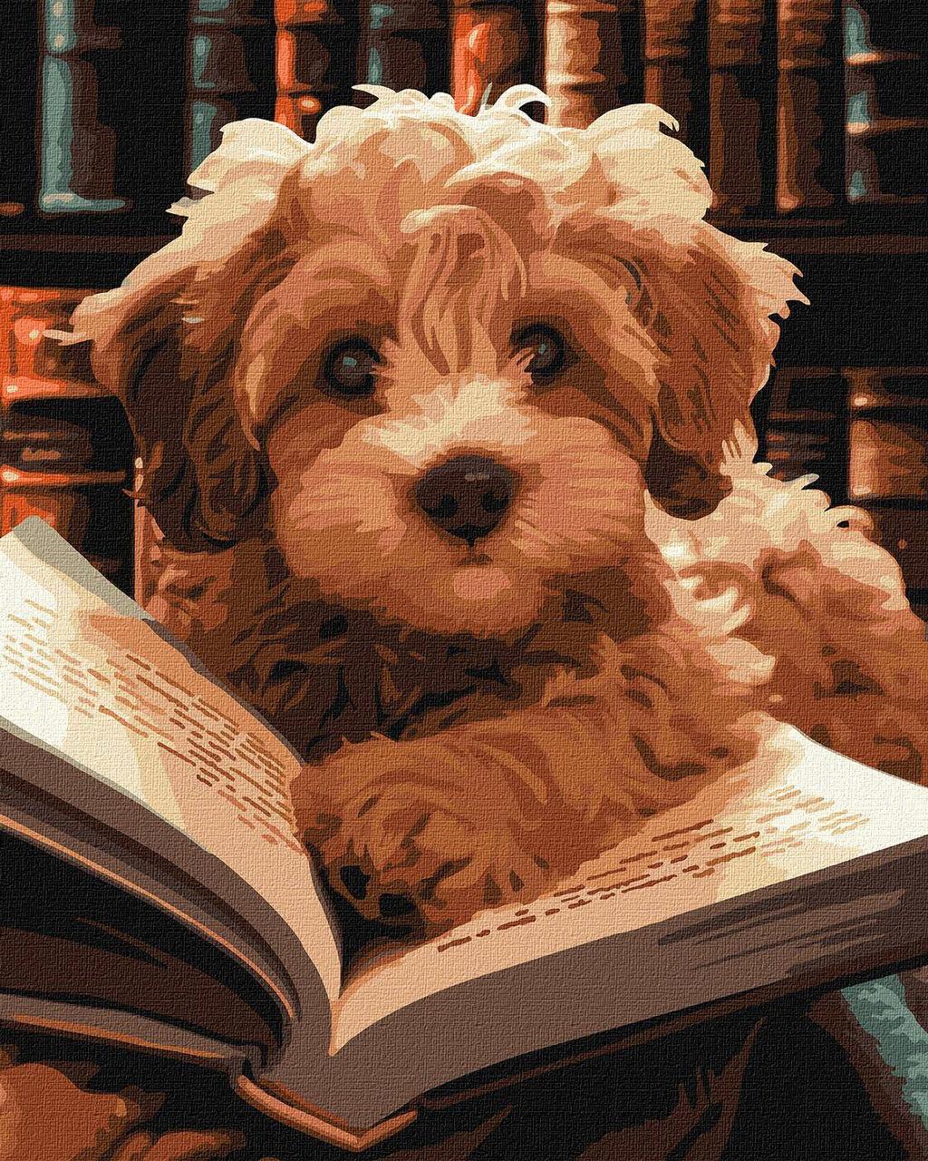 Картина по номерам Ideyka Пушистый читатель 40х50 см (2824808831)