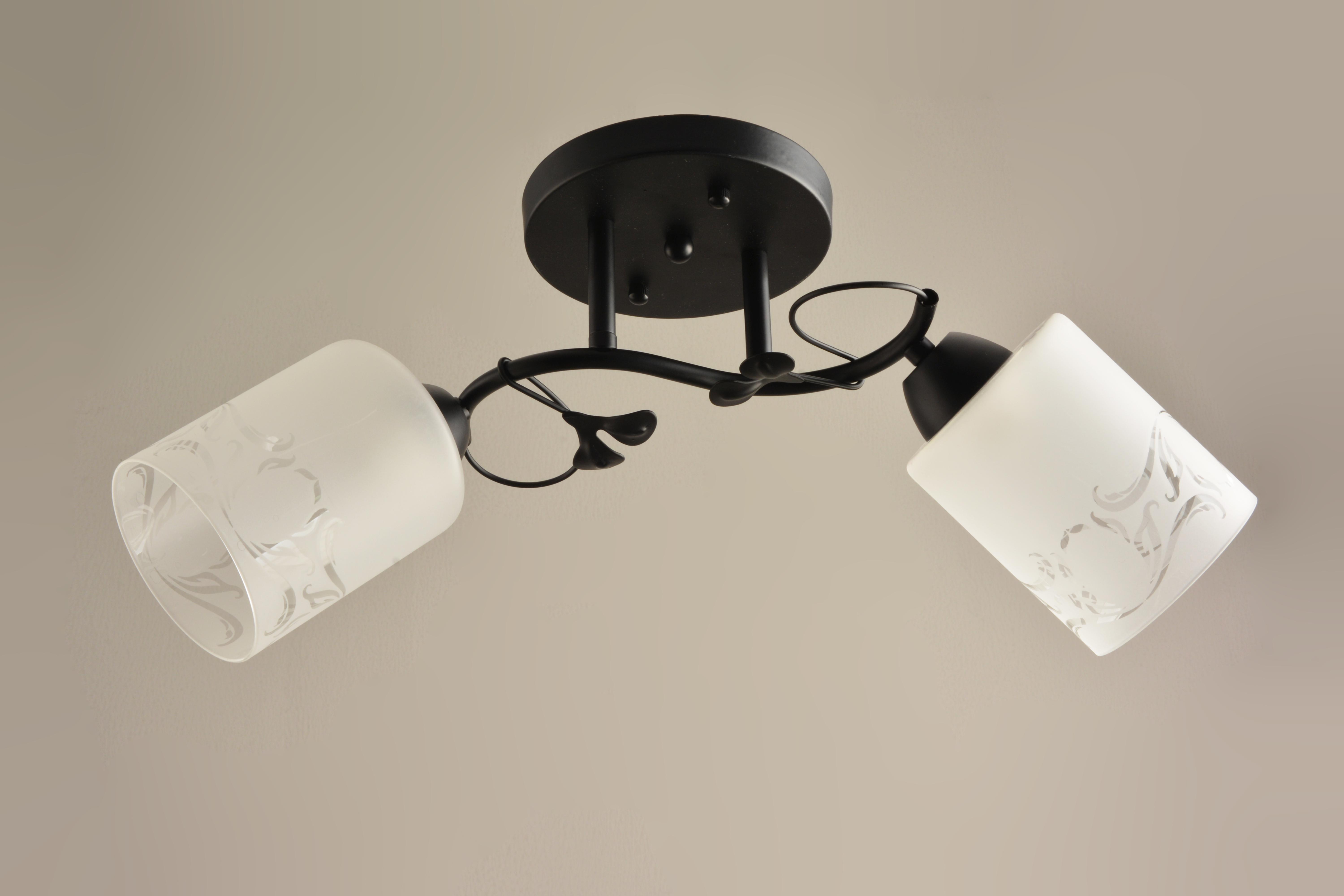 Люстра Sirius Л 4638/2 на 2 плафона