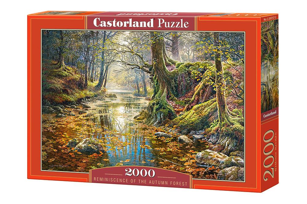 Пазли Castorland Споглядання про весняний ліс с-200757 (MTT-106053)