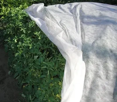 Агроволокно покрывное Greentex Р30 3, 20x100 м Белый (25020691) - фото 4 Агроволокно покрывное Greentex Р30 3, 20x100 м Белый (25020691) - фото 4