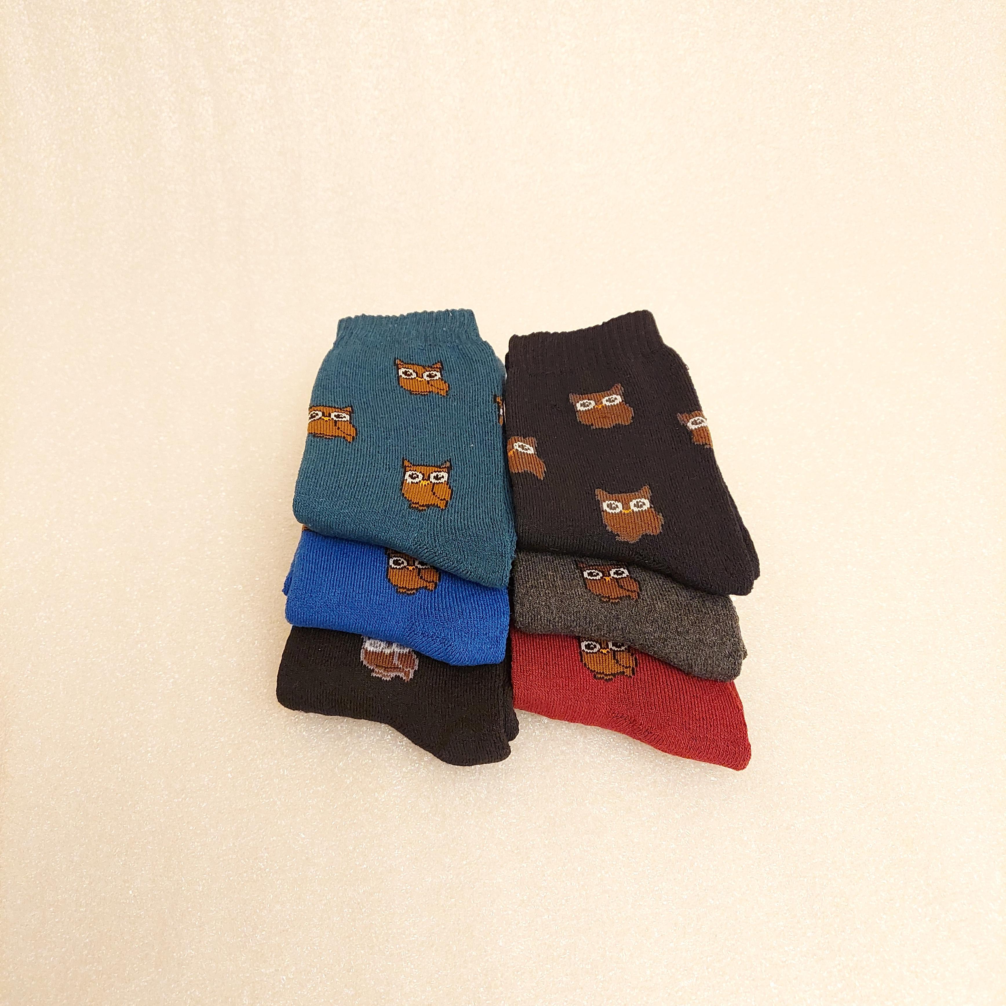 Набір шкарпетки жіночі зимові махрові Житомир Сова 6 пар р. 39 Різнокольорові (0551) - фото 3