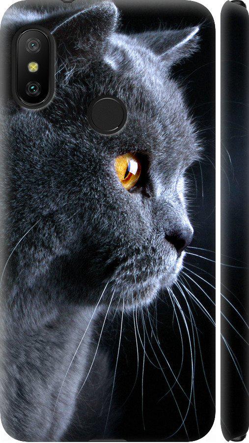 Чехол на Xiaomi Mi A2 Lite Красивый кот (3038m-1522-42517)