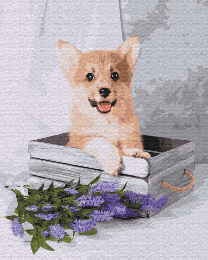 Картина по номерам Brushme Игривые корги 40x50 см (BS52653)