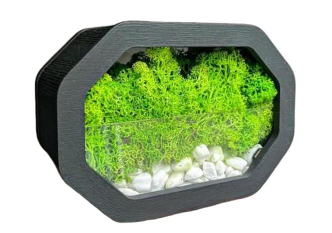 Моссариум со стабилизированным мхом 16х11,5х8 см Черный (11947865)