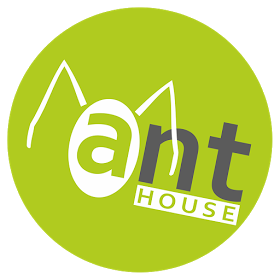 Ant House