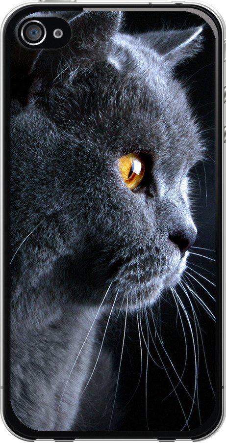 Чехол на iPhone 4 Красивый кот (3038u-15-42517)