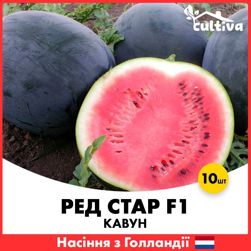 Семена арбуза Nunhems Ред Стар F1 10 шт. (00298-10)