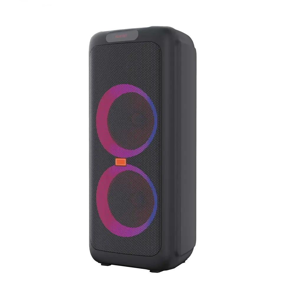 Портативна акустична система Winso RX-1001 з мікрофоном 2х10" 50 ВТ (d8cc73bd)