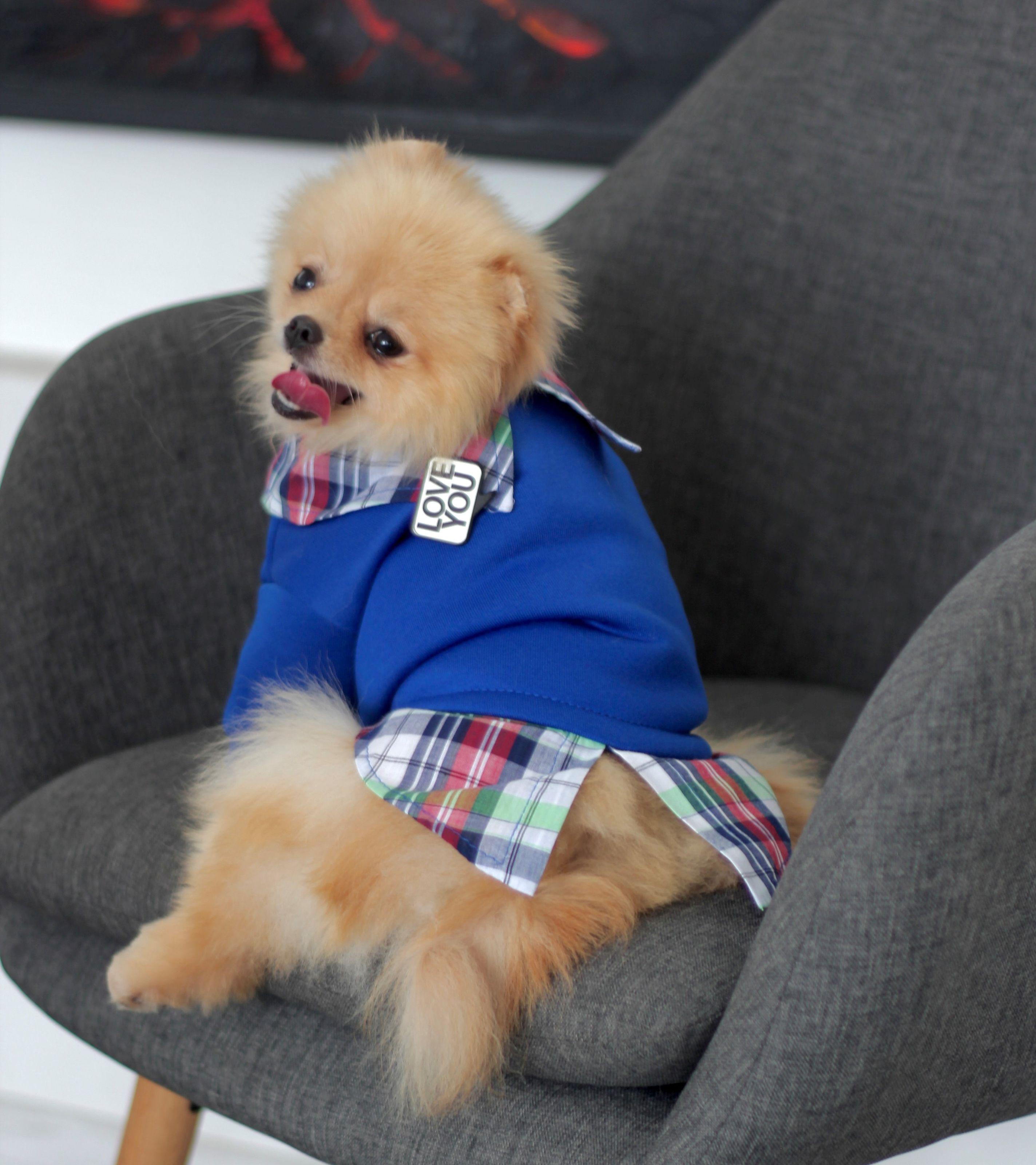 Толстовка для собак с рубашкой Y-297 р. 7 Синий (70579903)