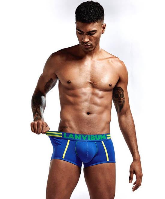 Трусы Lanvibum XL Синий (5533)