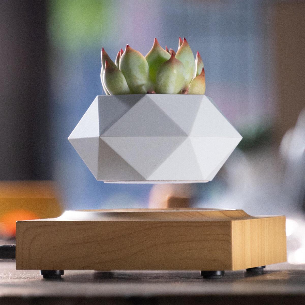 Горщик для рослин магнітний левітуючий HCNT Magnetic Levitating Pot M10-FP ABS Wood Grain (SIM10-FP) - фото 2