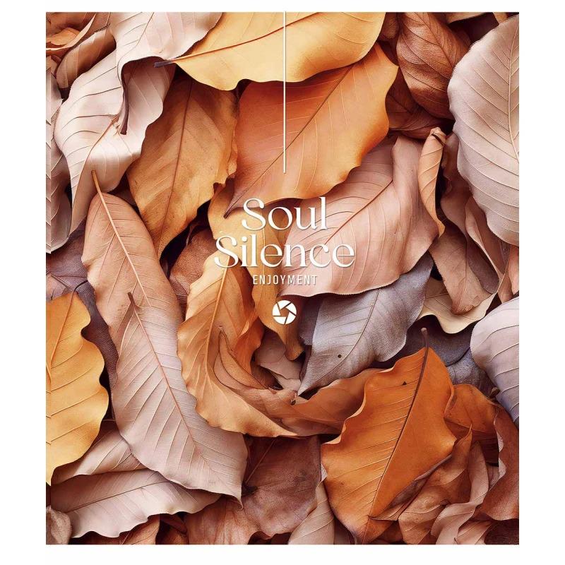 Школьная тетрадь в линейку Школярик 12 листов Разноцветный (NB-286-Z-569)