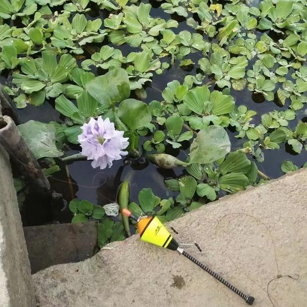 Поплавець самопідсікаючий із пружинним механізмом M00687 (M00687) - фото 10 Поплавець самопідсікаючий із пружинним механізмом M00687 (M00687) - фото 10