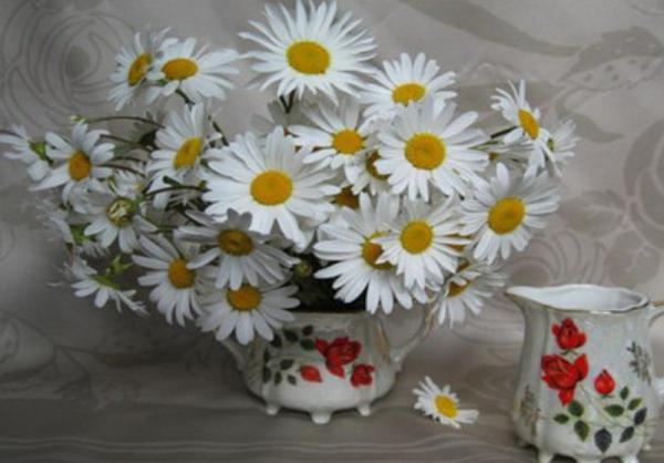 Картина по номерам Josef Otten Цветы Ромашки 40х50 см в термопакете (5719Y_O-mt) Картина по номерам Josef Otten Цветы Ромашки 40х50 см в термопакете (5719Y_O-mt)