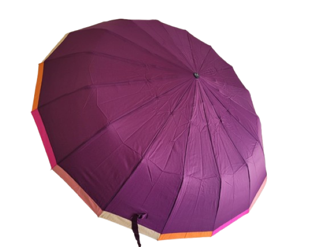 Парасолька жіноча автомат Frei Regen fcs 6002 на 16 карбонових спиць Фіолетовий (30222738)
