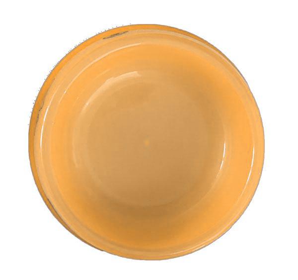 Миска для животных пластиковая с надписью Оранжевый (2451899572) - фото 2 Миска для животных пластиковая с надписью Оранжевый (2451899572) - фото 2