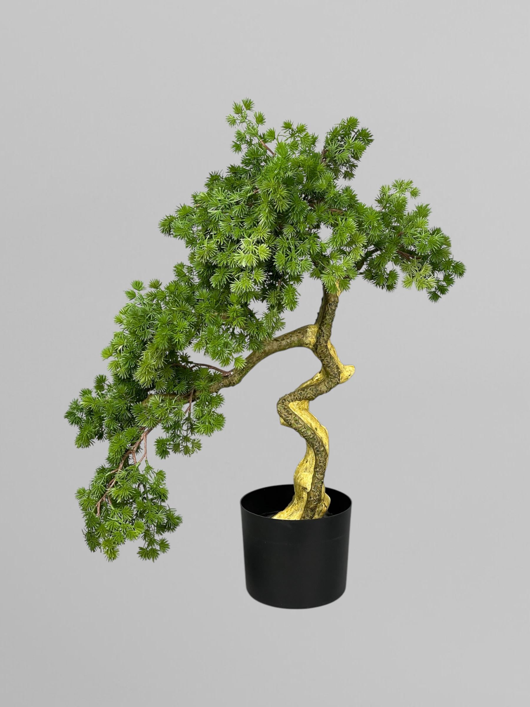 Бонсай игольчатый 63х65 см Зеленый (Б012) - фото 2 Бонсай игольчатый 63х65 см Зеленый (Б012) - фото 2