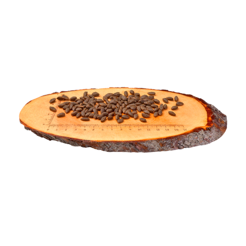 Корм сухой Carnilove для кошек с чувствительным пищеварением лосось 2 кг - фото 6