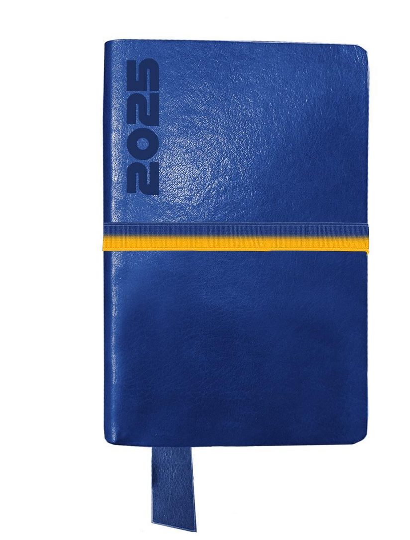 Ежедневник Leo Planner Identico датированный/2025 год А5 368 стр. (252532)