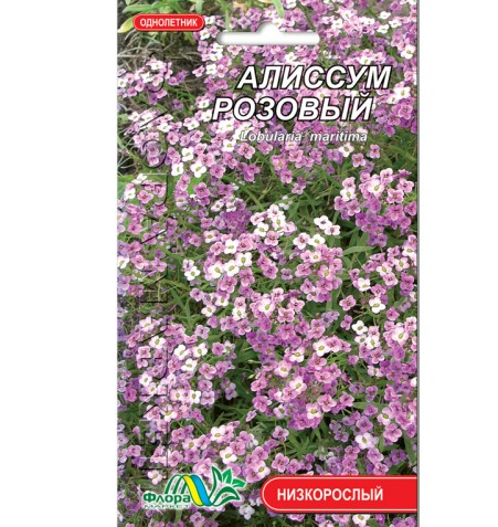 Насіння Аліссум Рожевий однорічник низькорослий 0,1 г (26129)