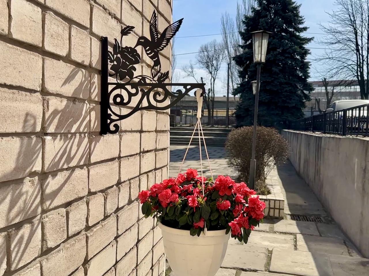 Кронштейн Колибри для кашпо с цветами метал Черный (Б009) - фото 6 Кронштейн Колибри для кашпо с цветами метал Черный (Б009) - фото 6