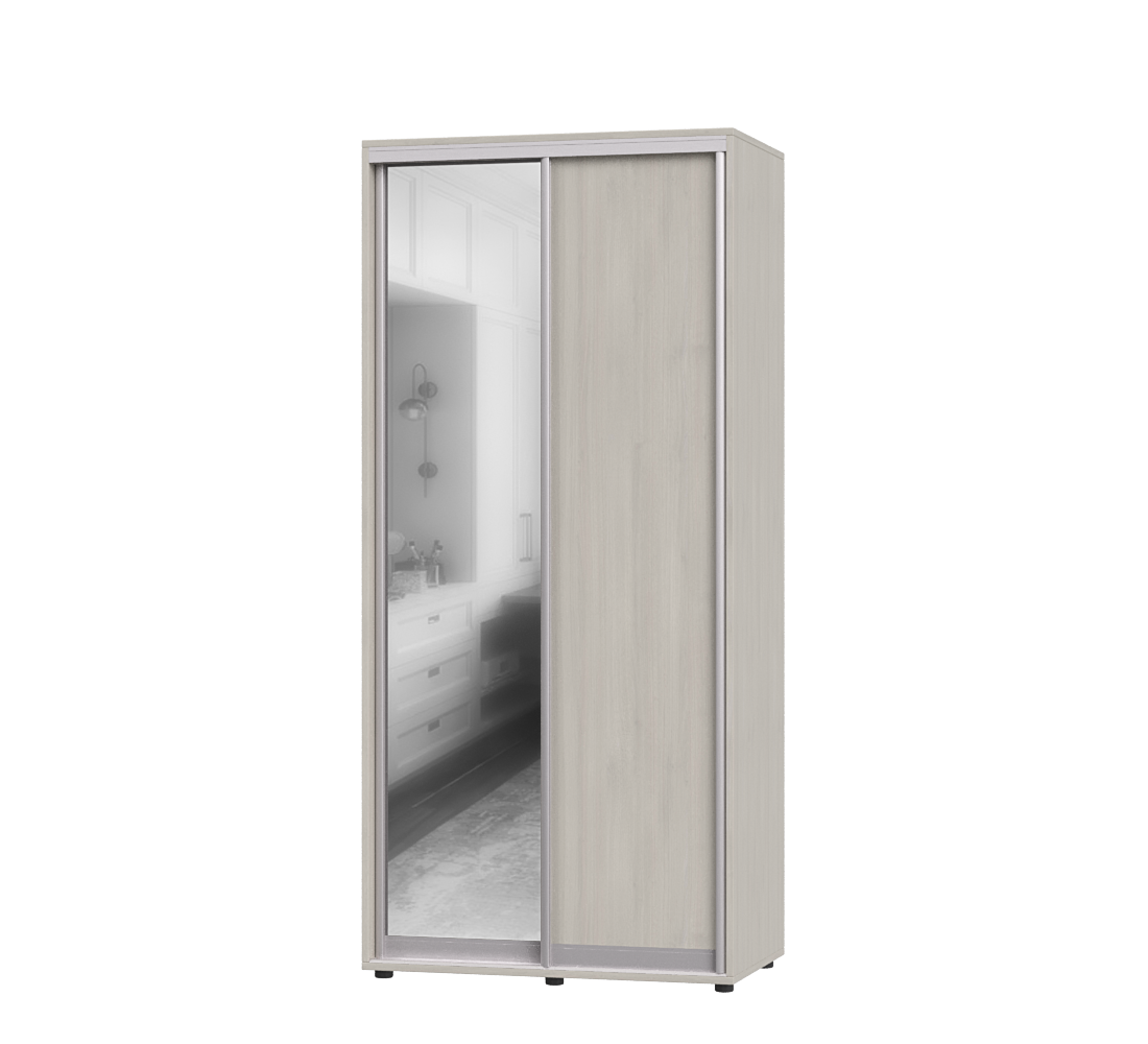 Шкаф-купе двухдверный Эверест ШК-01 100х60х220 см Шамони Светлый (06811)