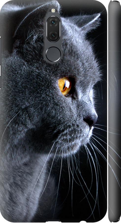 Чохол на Huawei Mate 10 Lite Гарний кіт (3038m-1240-42517)