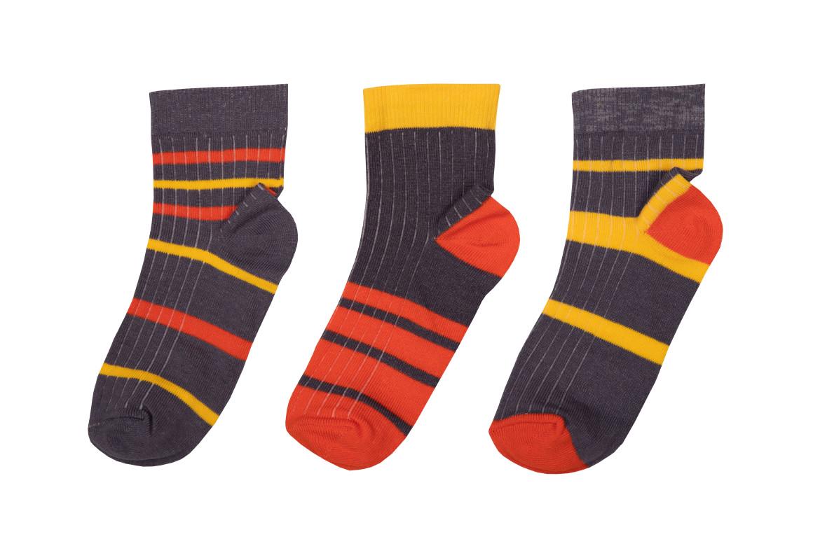 Носки детские для мальчика GABBI NSD-612 демисезонные 6 пар р. 16-18 (90612)