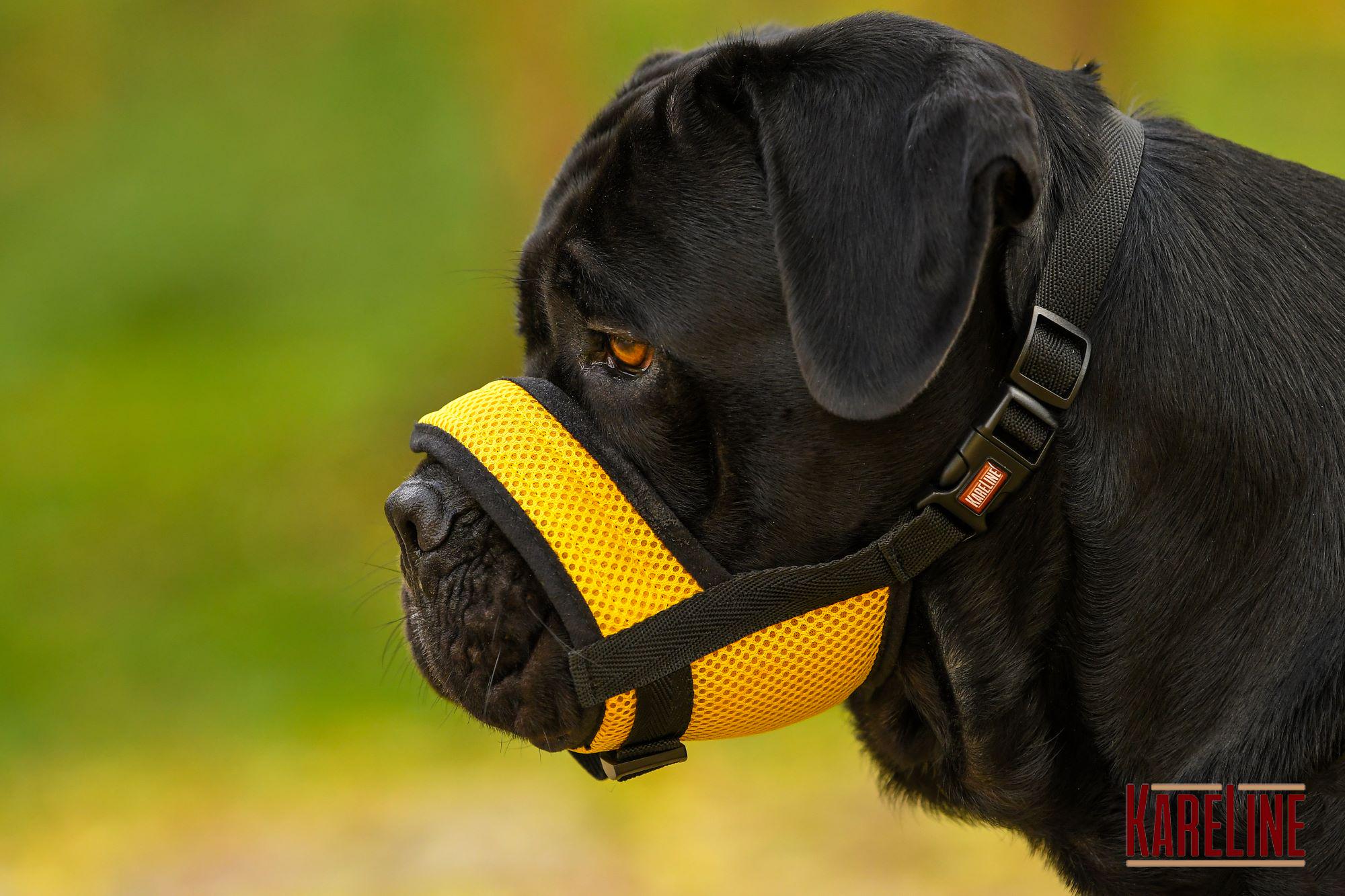 Намордник сетка KareLine из нейлона для ротвейлера XXL (0536/8) - фото 3 Намордник сетка KareLine из нейлона для ротвейлера XXL (0536/8) - фото 3