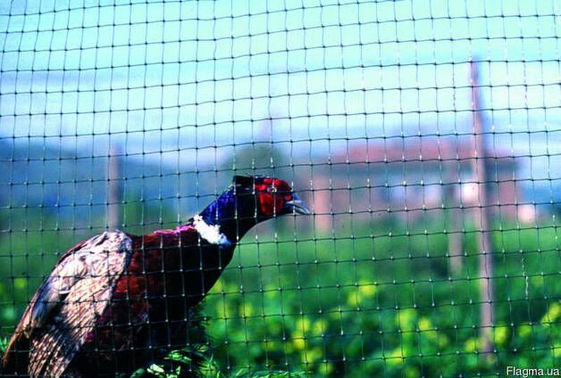 Сетка защитная от птиц Птичка 2x100 м ячейка 30х35 мм Черный (676) - фото 9 Сетка защитная от птиц Птичка 2x100 м ячейка 30х35 мм Черный (676) - фото 9