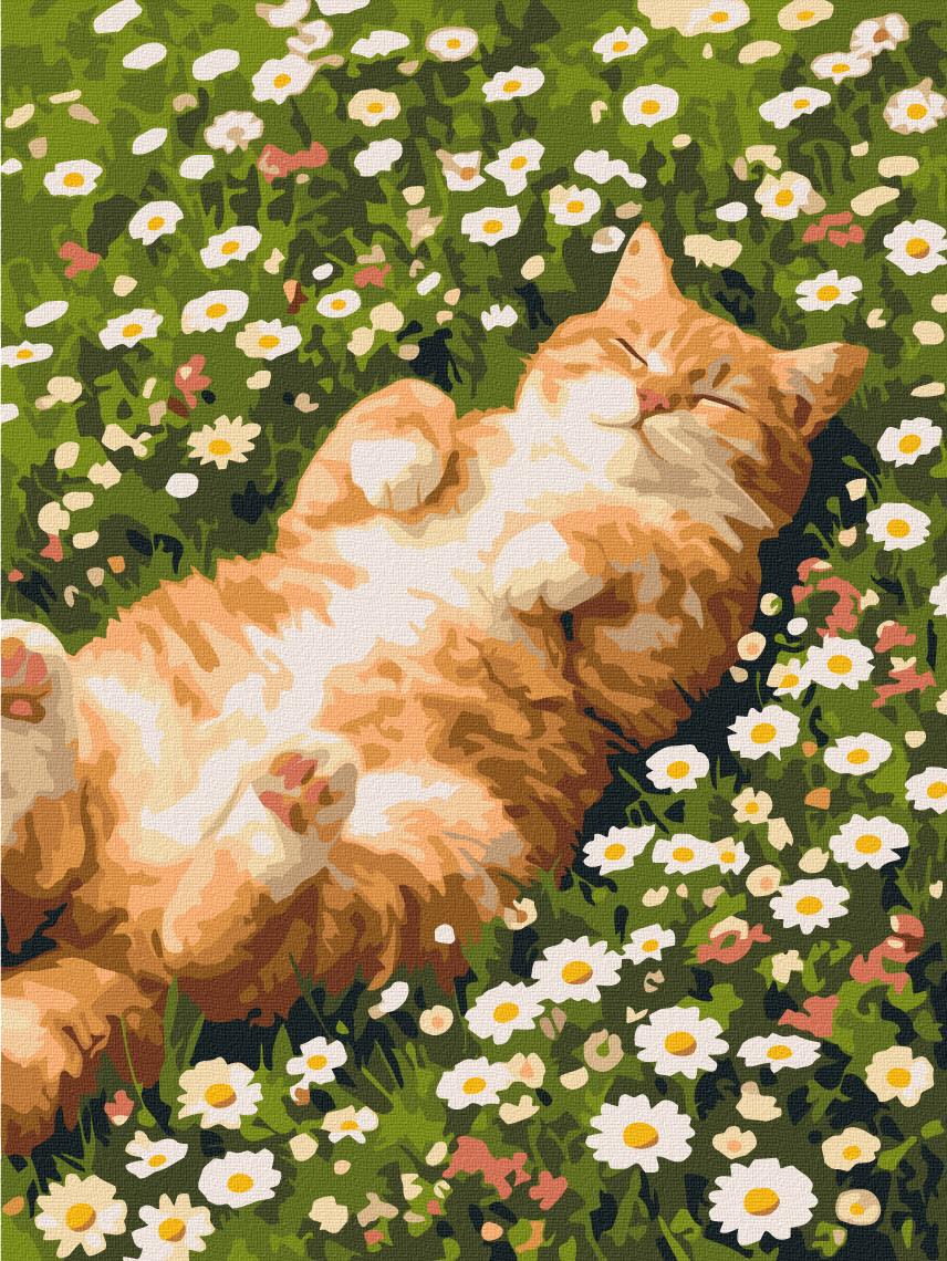 Картина по номерам Brushme Кот в ромашках 30x40 см (RBS1064)