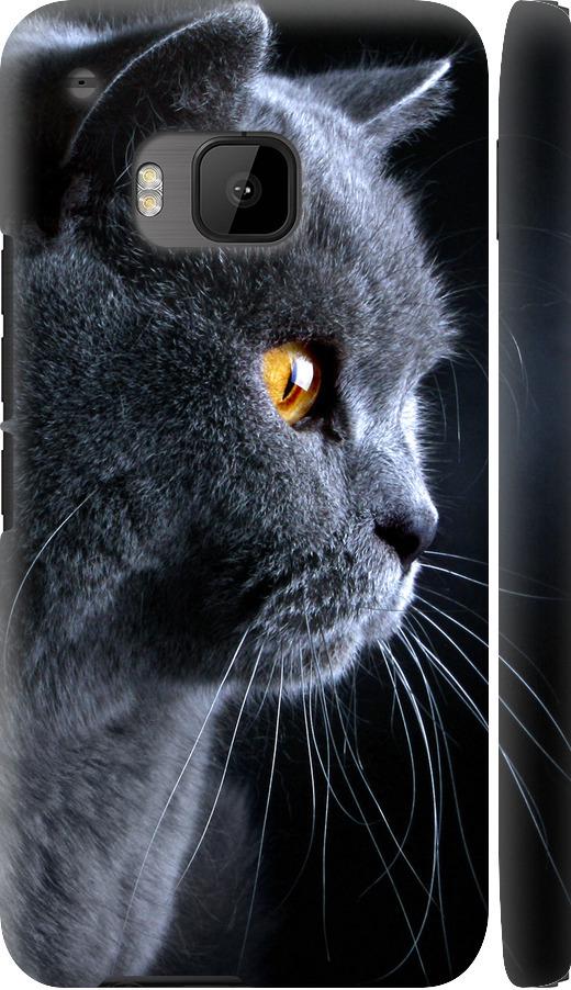 Чехол на HTC One M9 Красивый кот (3038c-129-42517)