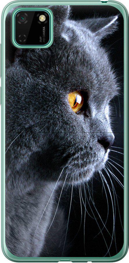 Чехол на Huawei Y5p Красивый кот (3038t-1936-42517)