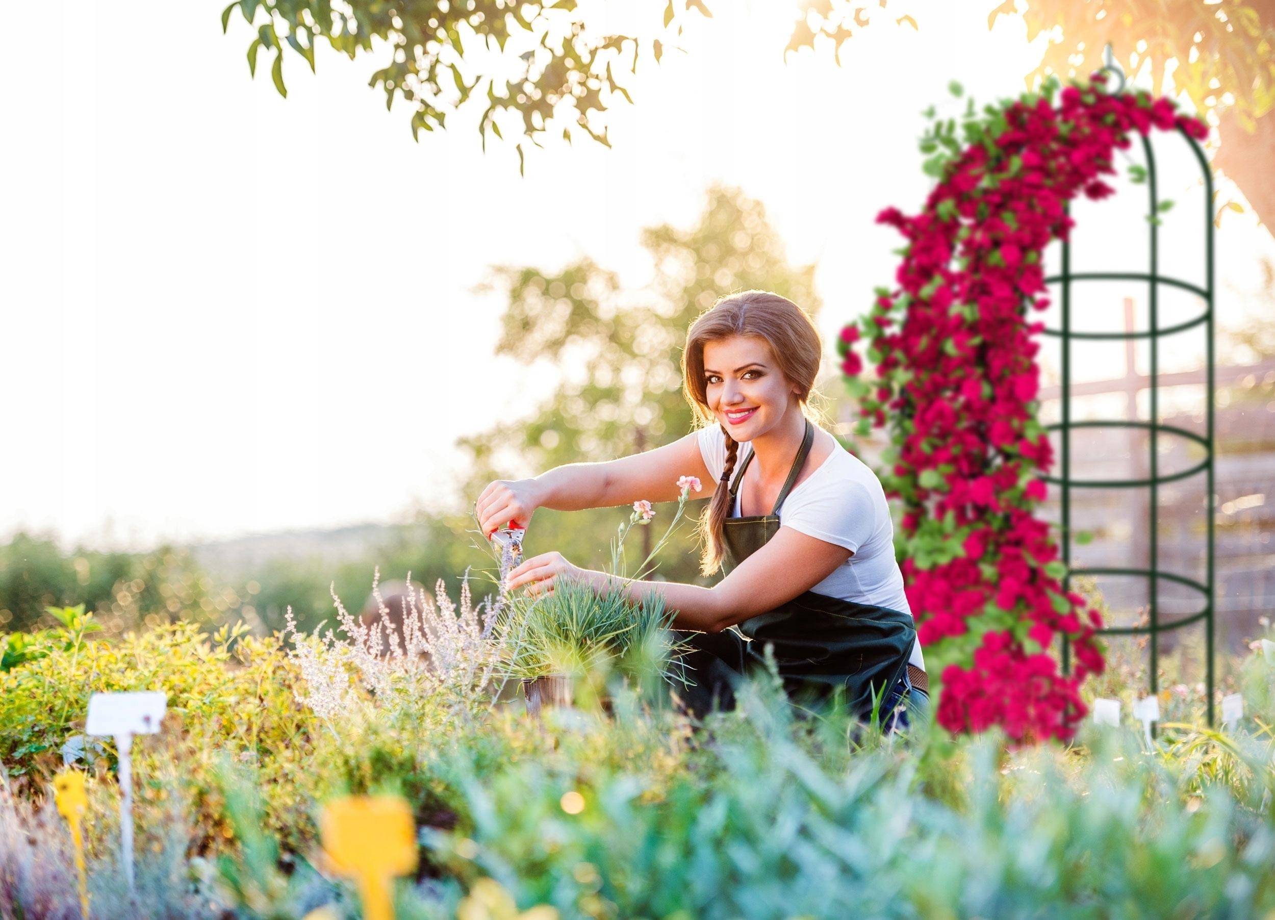 Опора для роз Gockowiak 190 см и анкеры крепления - фото 3