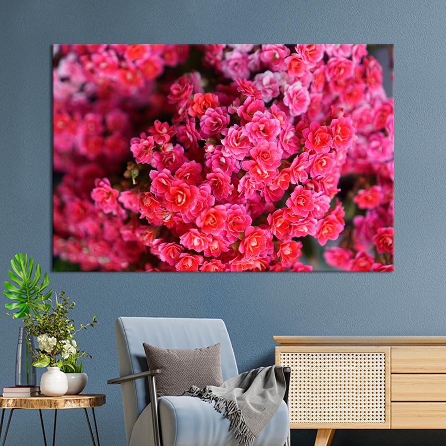 Картина цветы и растения Розовые цветы каланхоэ 51x34 см (A1057-1)