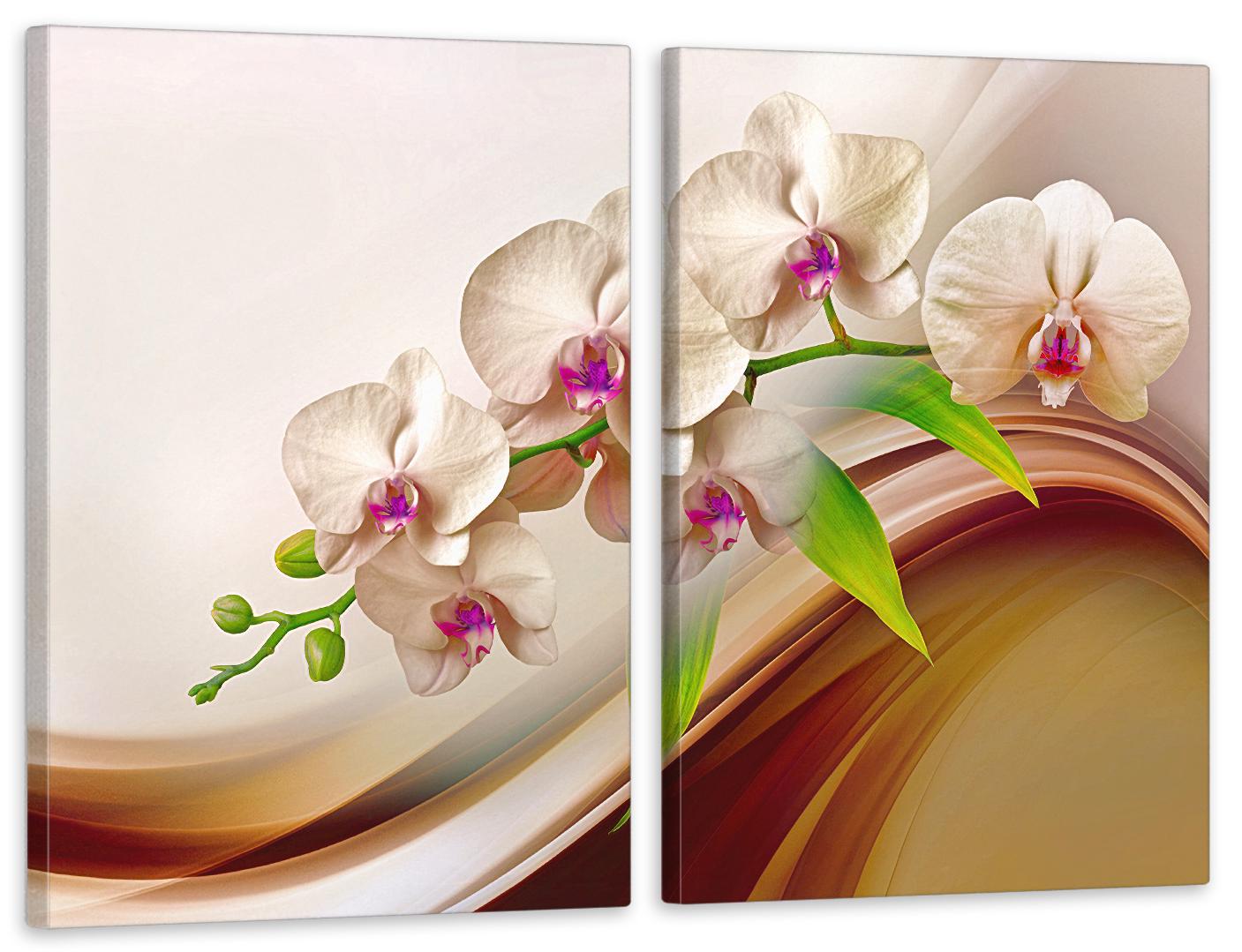 Картина модульная в гостиную/спальню Орхидеи 70х102 см (TLV-2_144)
