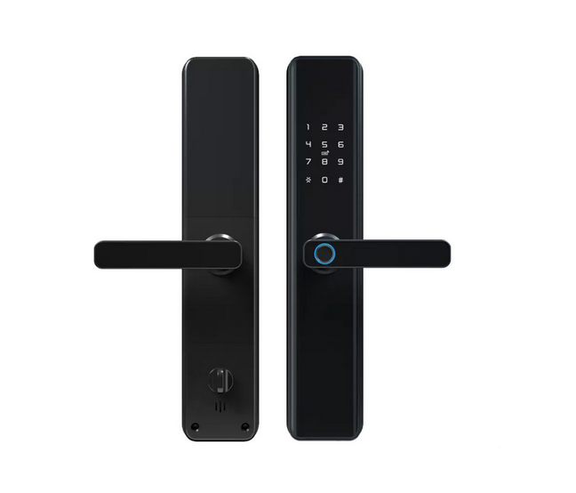 Замок-ручка биометрический с отпечатком пальца Wi-Fi и Bluetooth (2055413)