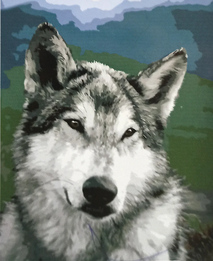 Картина по номерам Strateg Взгляд пухнастого 40х50 см (GS020)