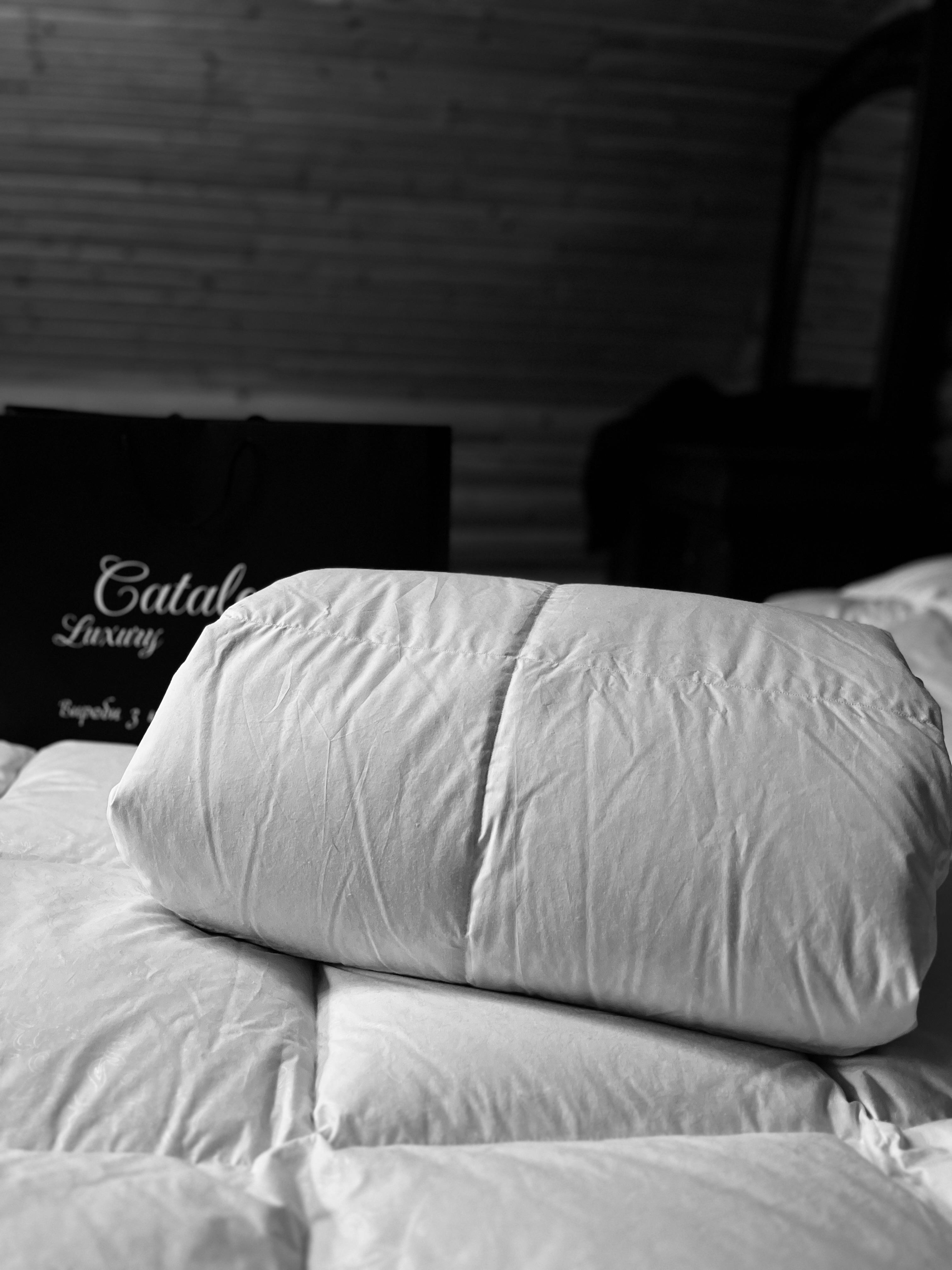 Одеяло пуховое кассетное Catalea Standard зима 220x240 см Белый (3963) - фото 8 Одеяло пуховое кассетное Catalea Standard зима 220x240 см Белый (3963) - фото 8