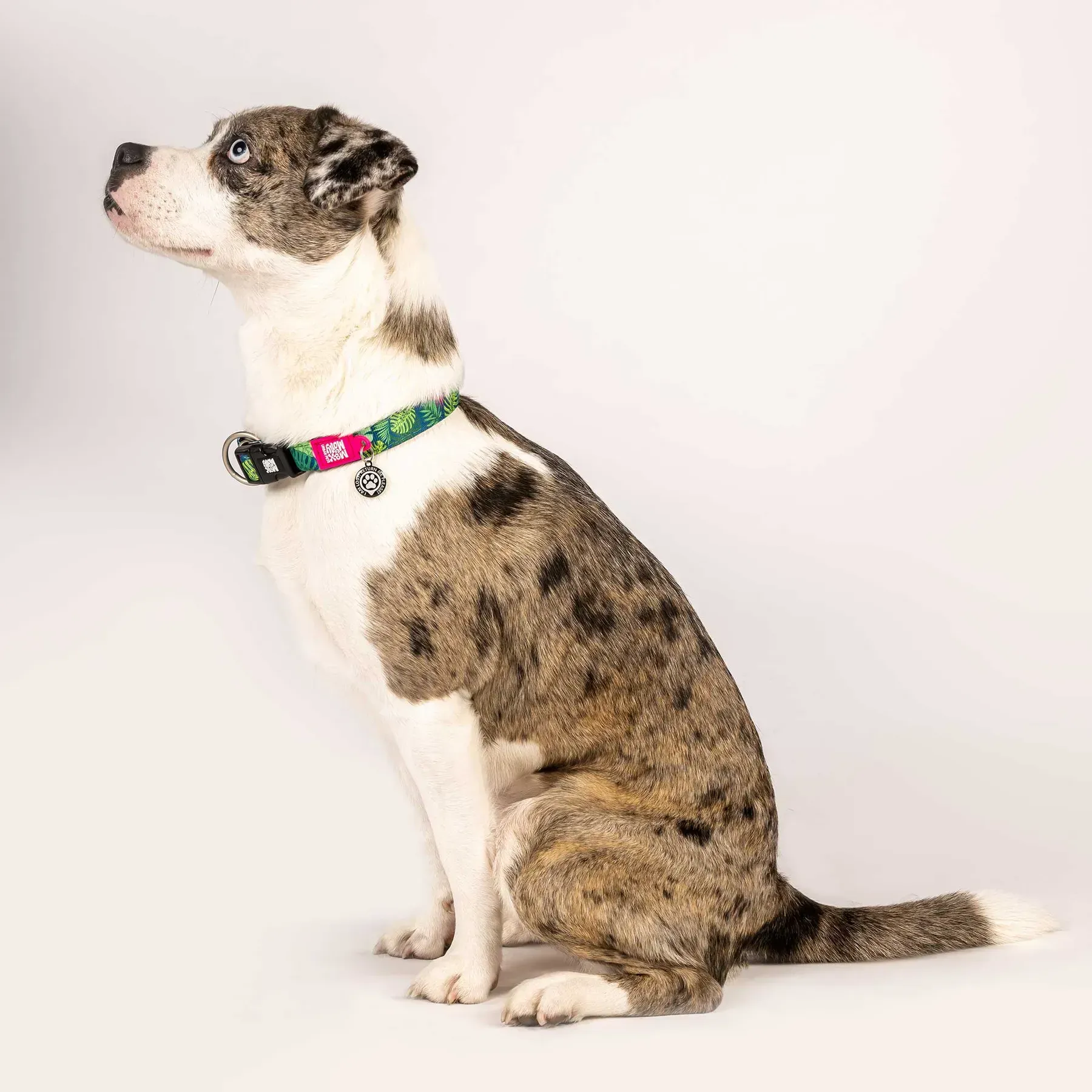 Ошейник для собак Max & Molly Smart ID Collar Tropical M (196083) - фото 2 Ошейник для собак Max & Molly Smart ID Collar Tropical M (196083) - фото 2