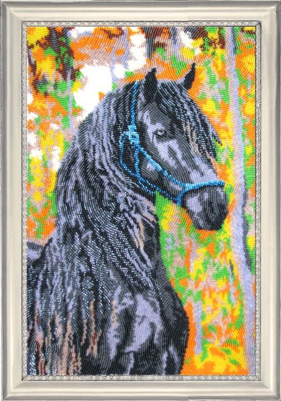 Набір для вишивання бісером BUTTERFLY 635 Красунчик 36х24 см (635)