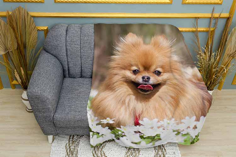 Плед Spitz with daisies плюш двухслойный 150х210 см (113458-3)