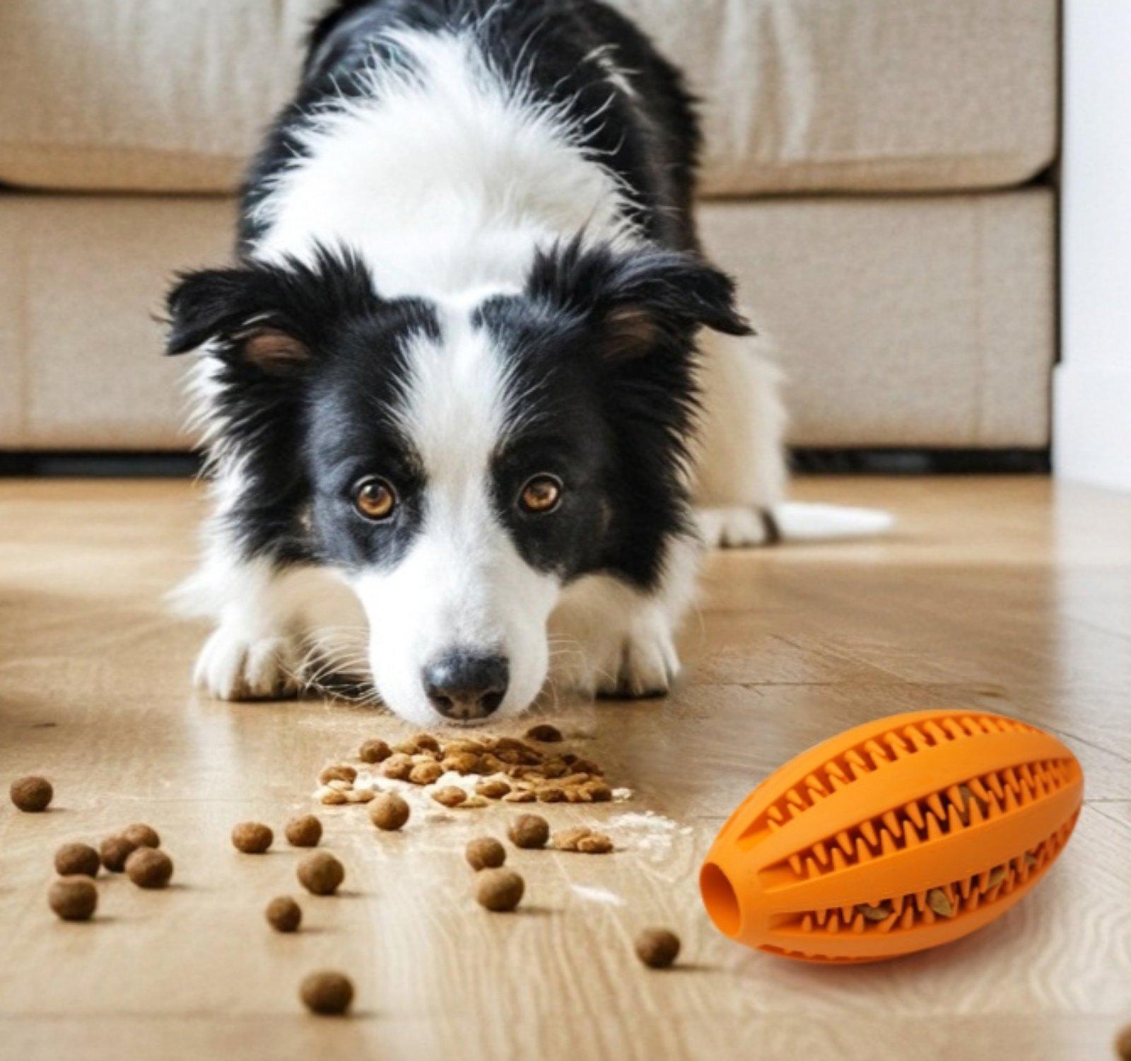 М'яч для собак TPR овальний із зубцями-масажна іграшка у формі регбі 9 см Синій (ІГ-ТПР003с) - фото 4 М'яч для собак TPR овальний із зубцями-масажна іграшка у формі регбі 9 см Синій (ІГ-ТПР003с) - фото 4