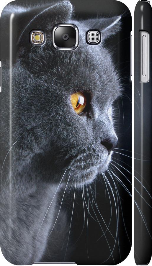 Чехол на Samsung Galaxy E5 E500H Красивый кот (3038c-82-42517)