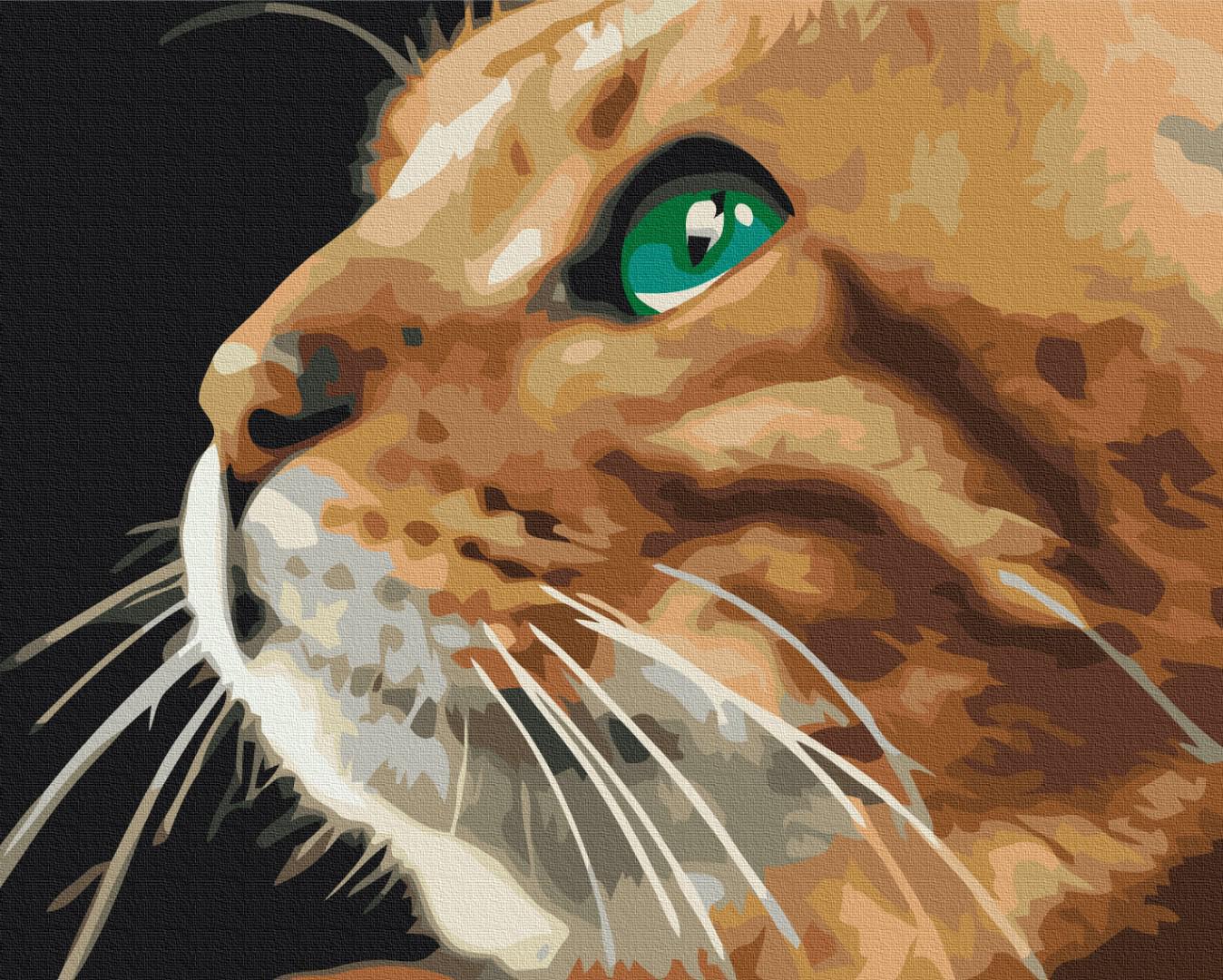 Картина по номерам Brushme Премиум Взгляд рыжули 40x50 см (PBS52377)