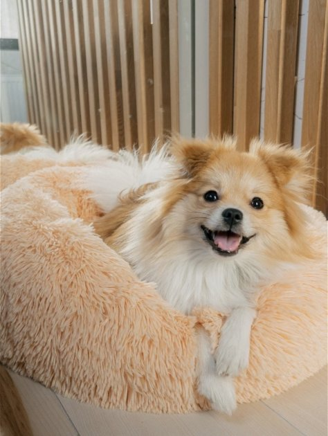 Лежак лежанка для кошек и собак Incor 100 см искусственный мех Бежево-золотой (100-4) - фото 5 Лежак лежанка для кошек и собак Incor 100 см искусственный мех Бежево-золотой (100-4) - фото 5