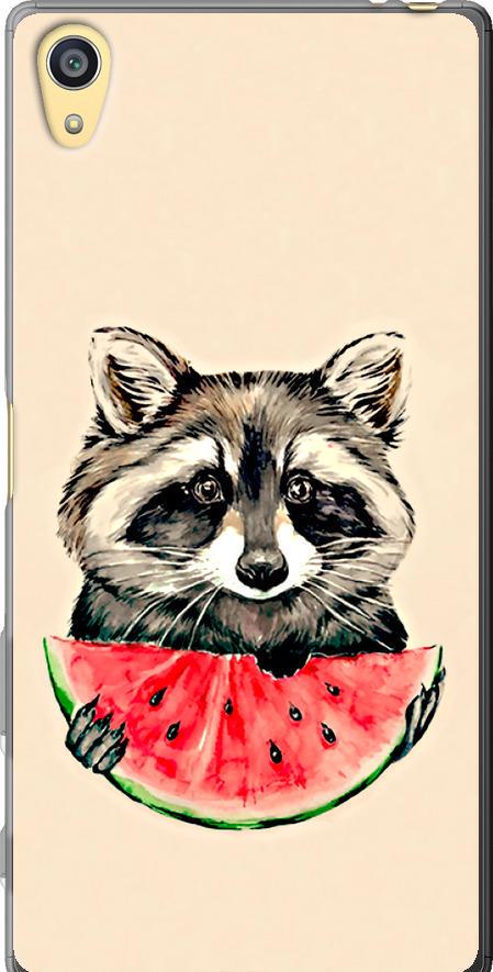 Чехол на Sony Xperia Z5 E6633 Енотик с арбузом (4605u-274-42517)
