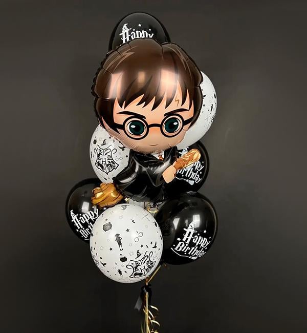 Набор из воздушных шаров Гарри Поттер 9 шт. (11487034) Набор из воздушных шаров Гарри Поттер 9 шт. (11487034)