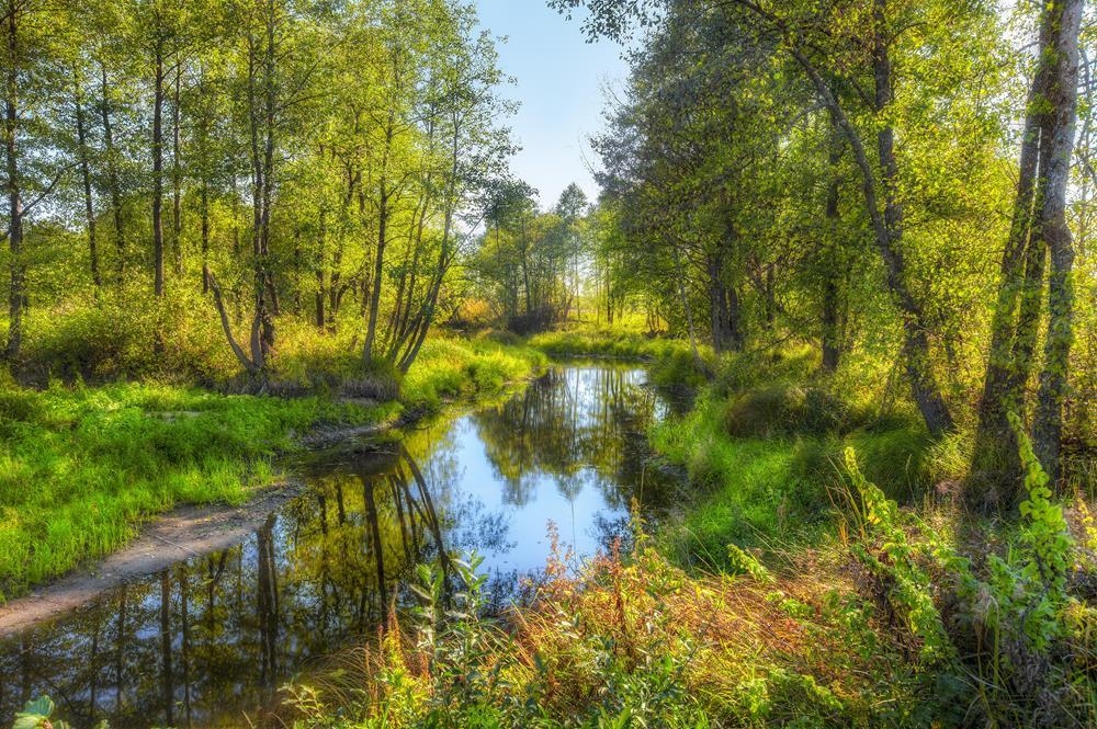 Картина на холсте Природа 55х85 см (N383)