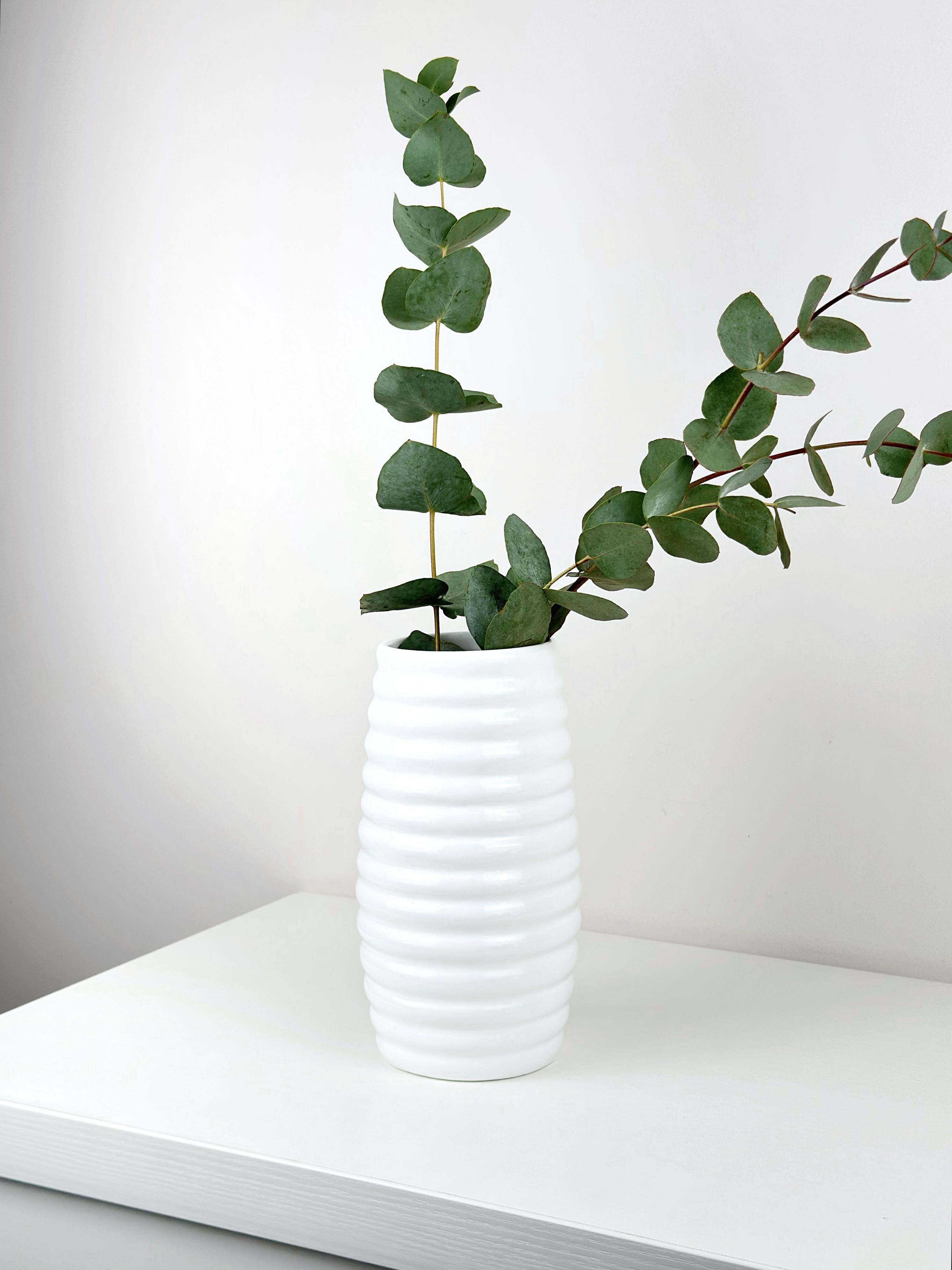 Ваза для квітів та декору глиняна керамічна Вулик 20 см Білий (4001-3) - фото 8 Ваза для квітів та декору глиняна керамічна Вулик 20 см Білий (4001-3) - фото 8